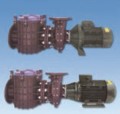������������ ����� "F-GIANT-N-21" �������: 1GNI1000T4V